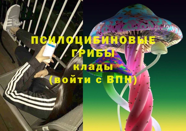 экстази Ельня